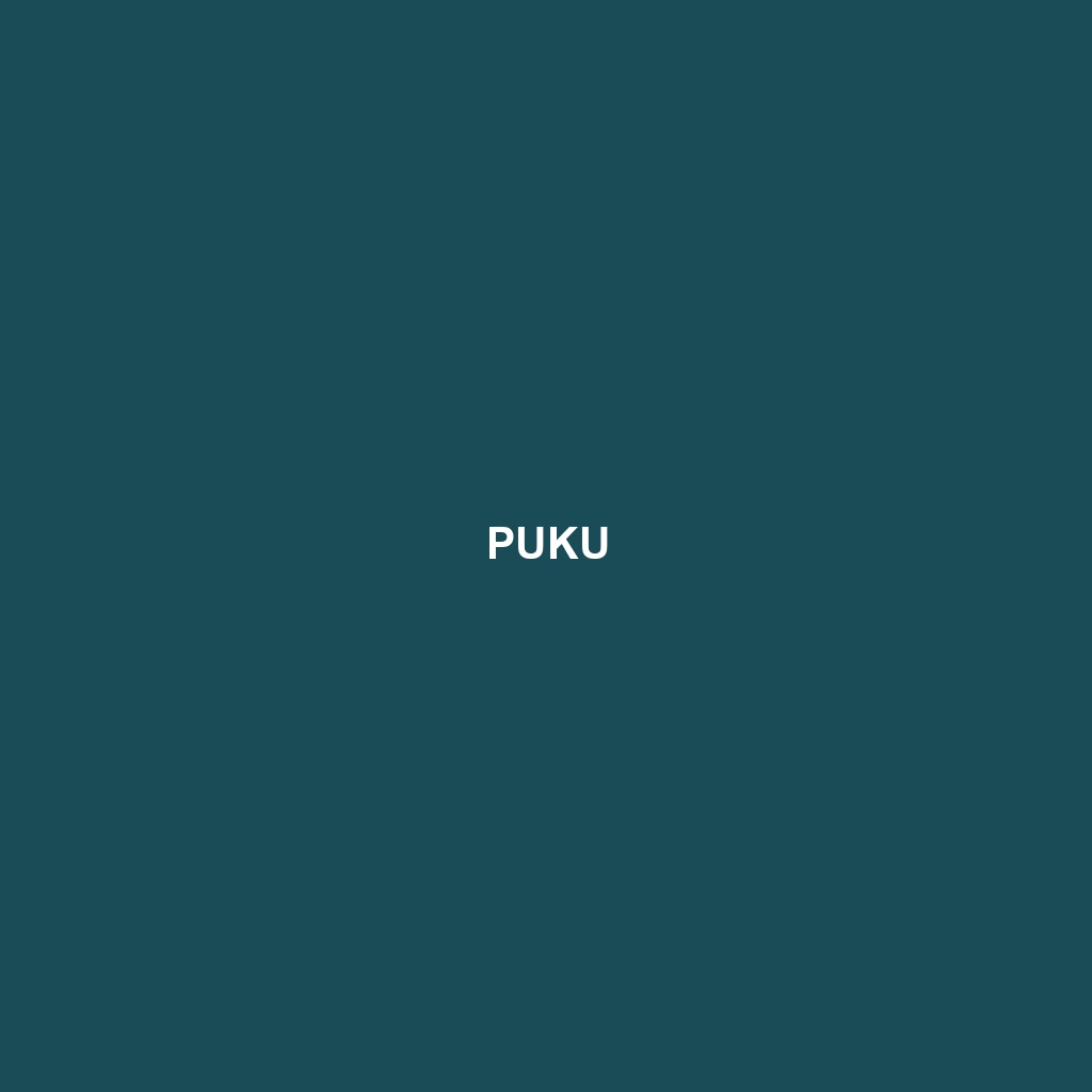 Puku