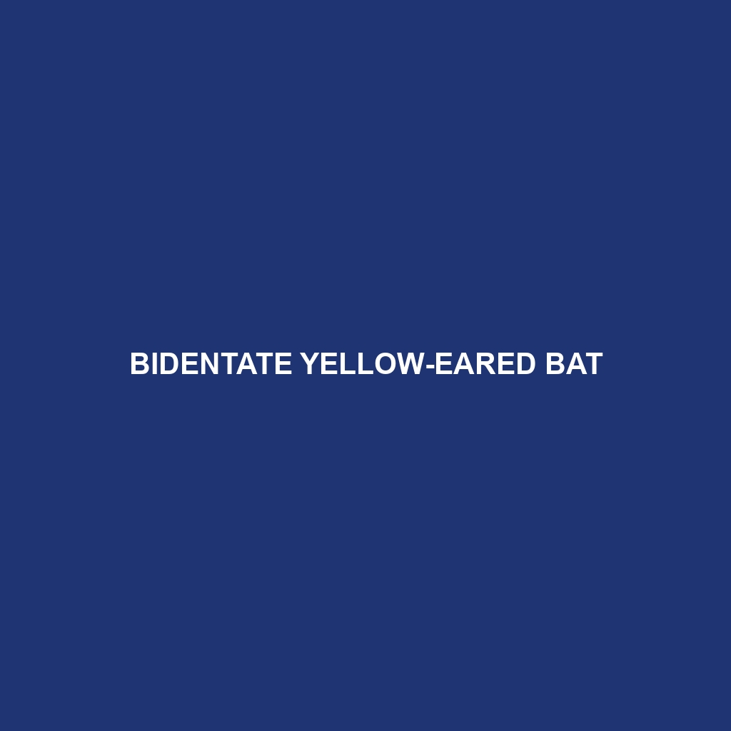 Bidentate Yellow-eared Bat