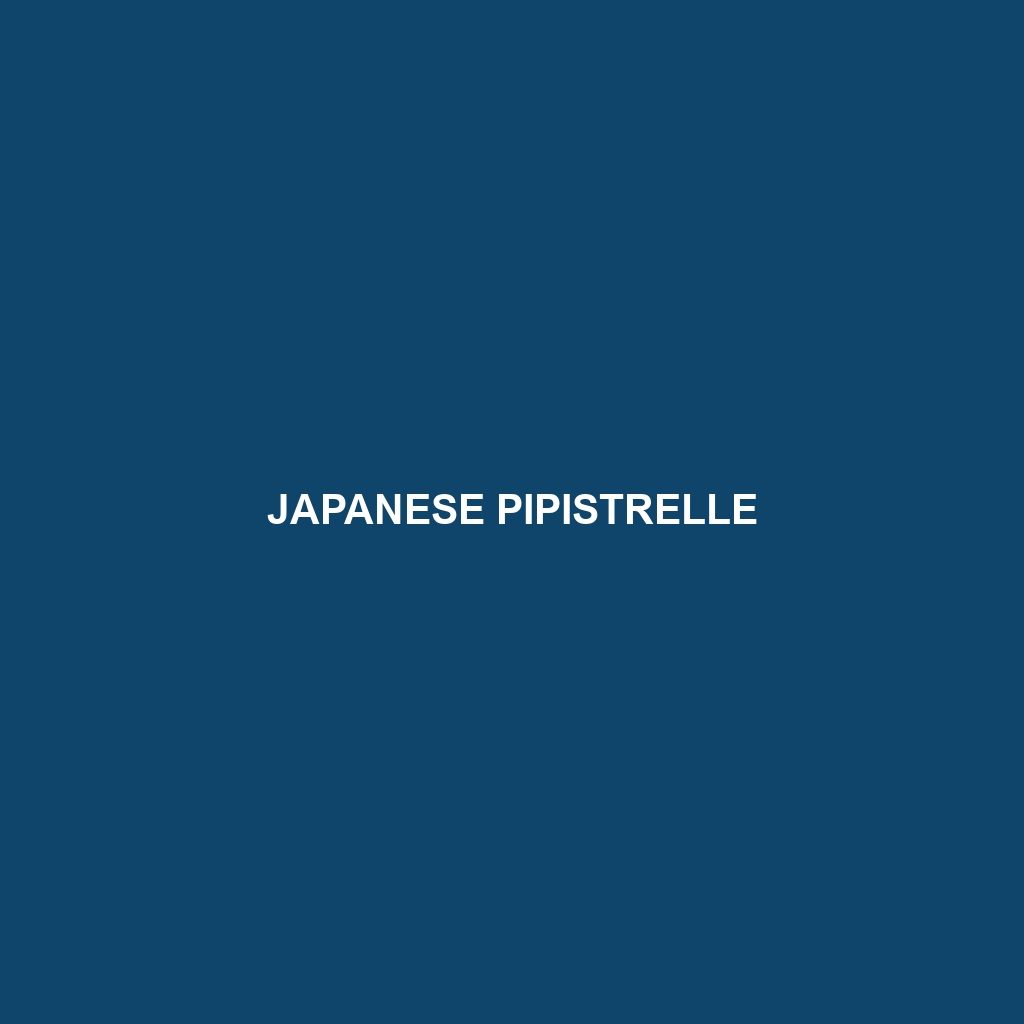 Japanese Pipistrelle