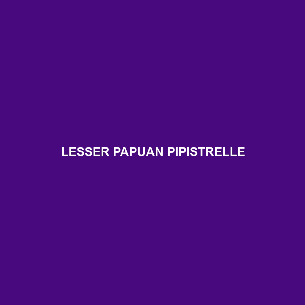 Lesser Papuan Pipistrelle