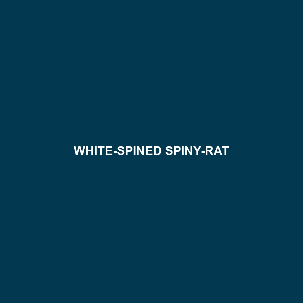 White-spined Spiny-rat