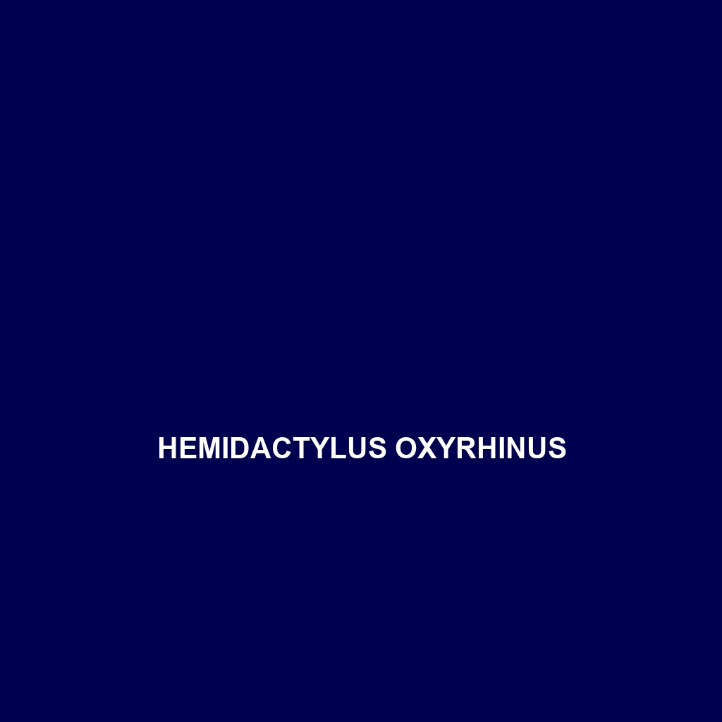 Hemidactylus oxyrhinus