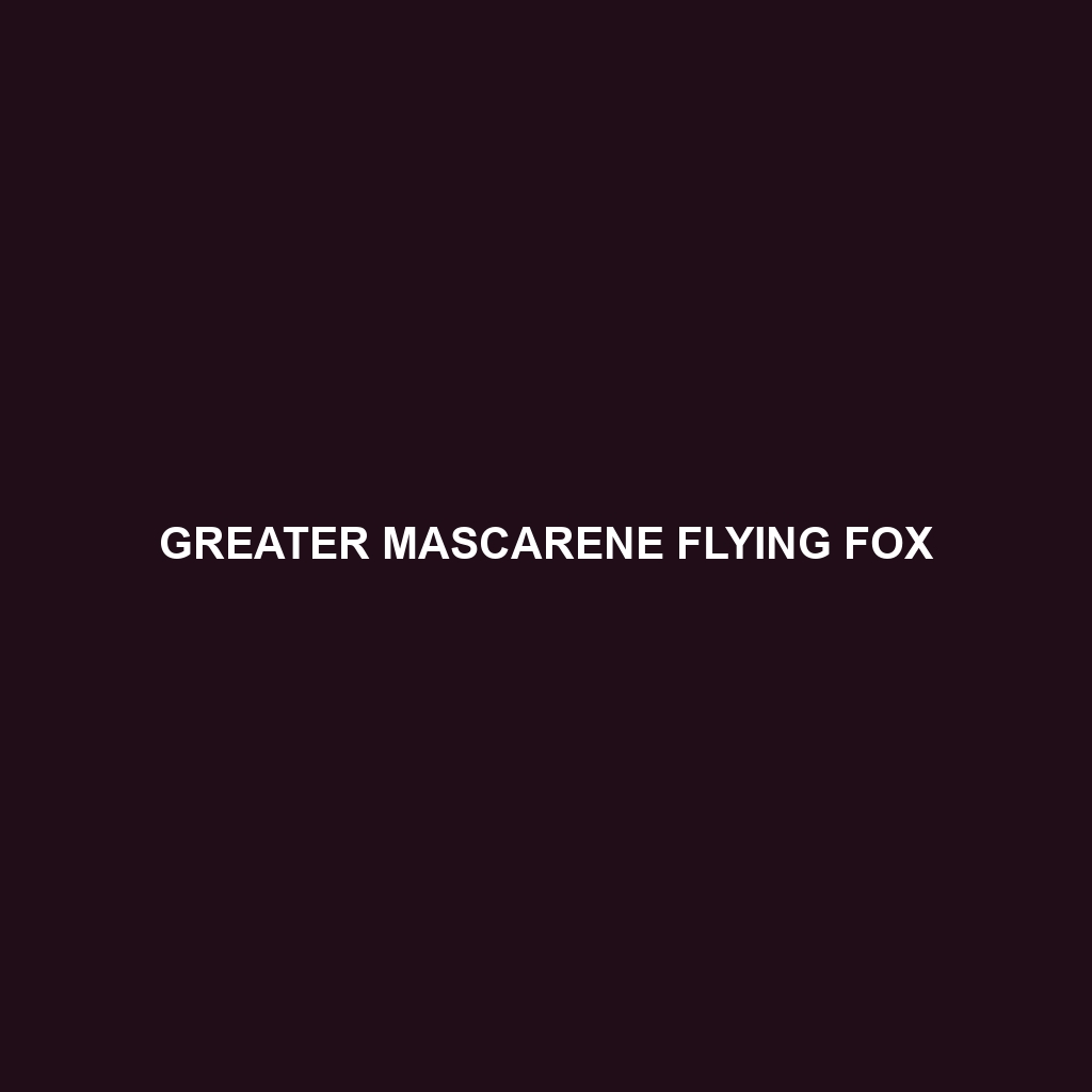 Greater Mascarene Flying Fox