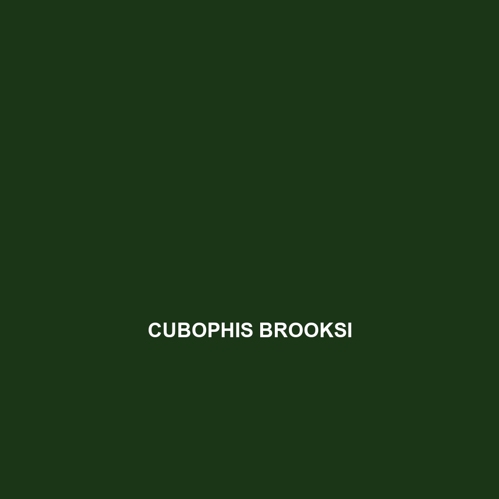 Cubophis brooksi