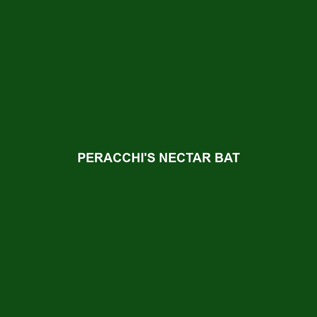 Peracchi's Nectar Bat