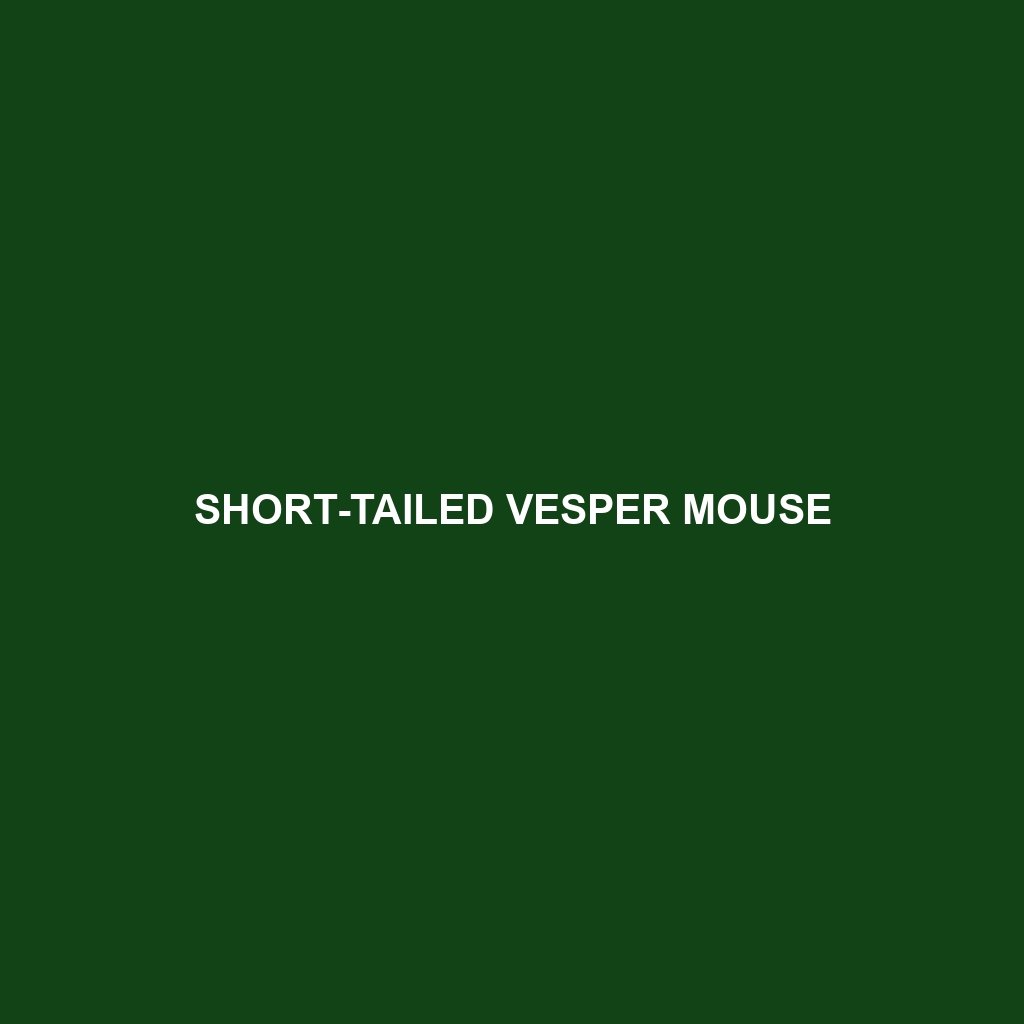 Short-tailed Vesper Mouse