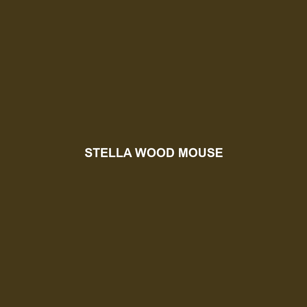 Stella Wood Mouse