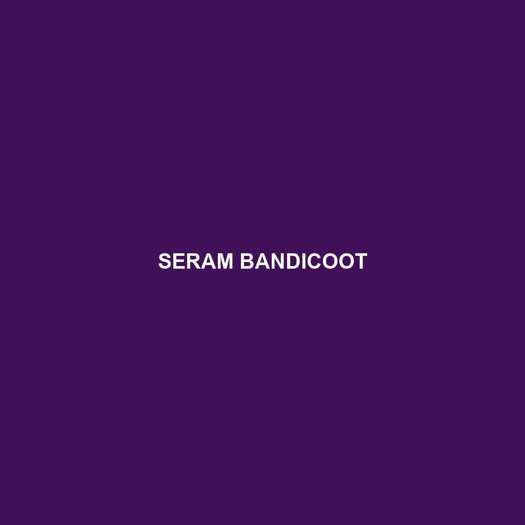 Seram Bandicoot