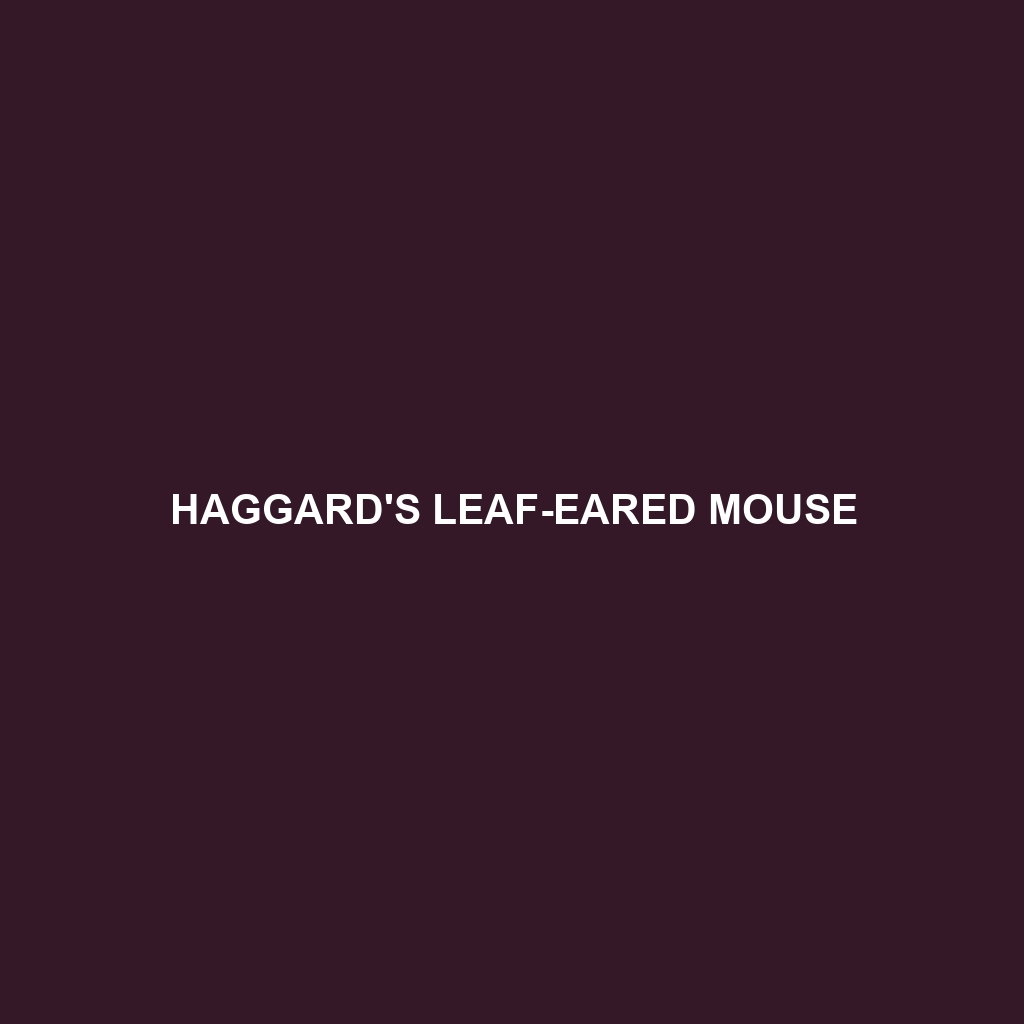 Haggard's Leaf-eared Mouse