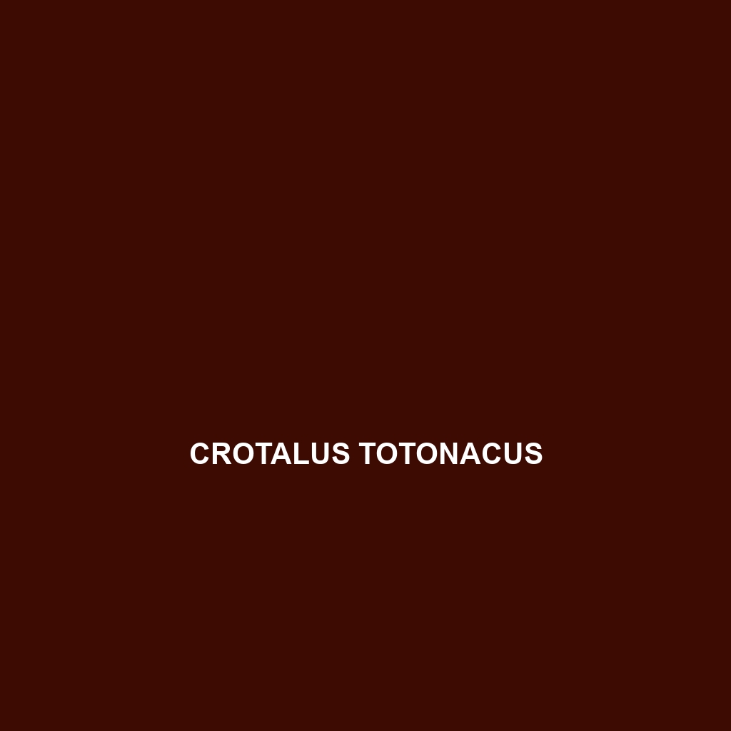 Crotalus totonacus