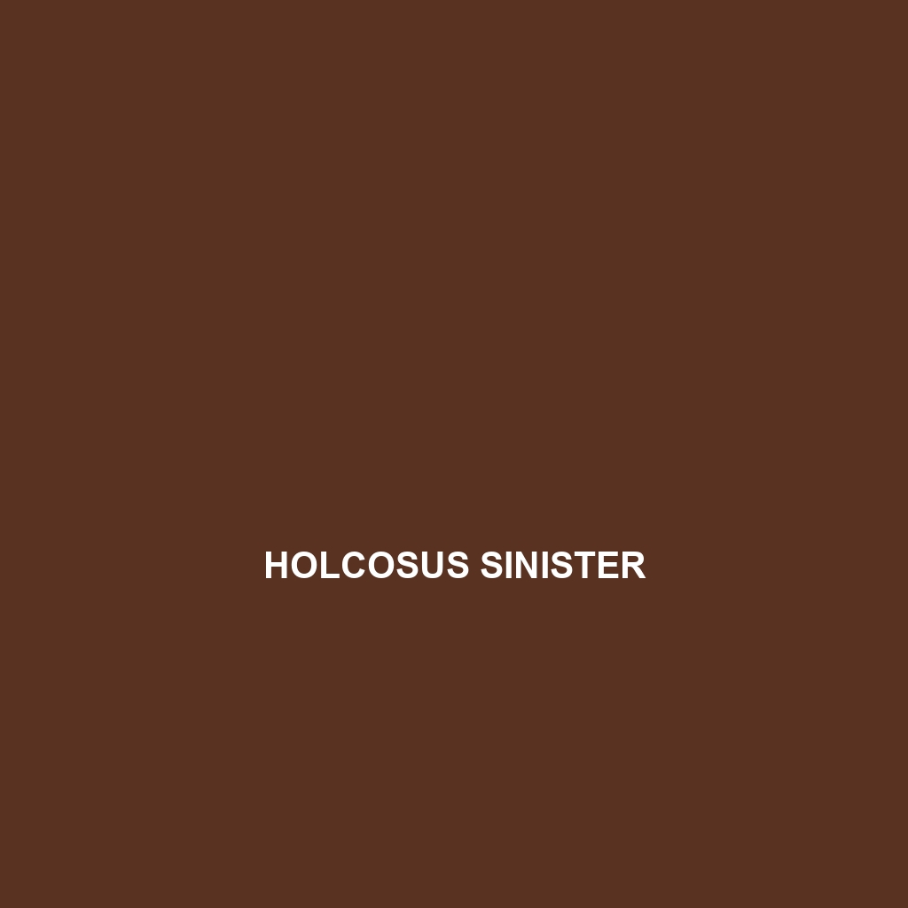 Holcosus sinister