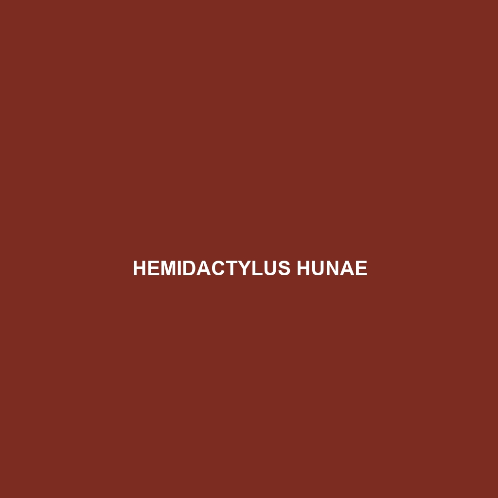 Hemidactylus hunae