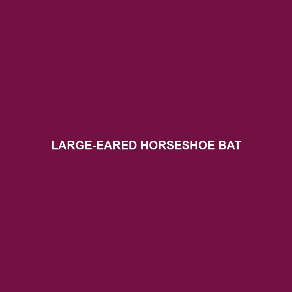 Large-eared Horseshoe Bat