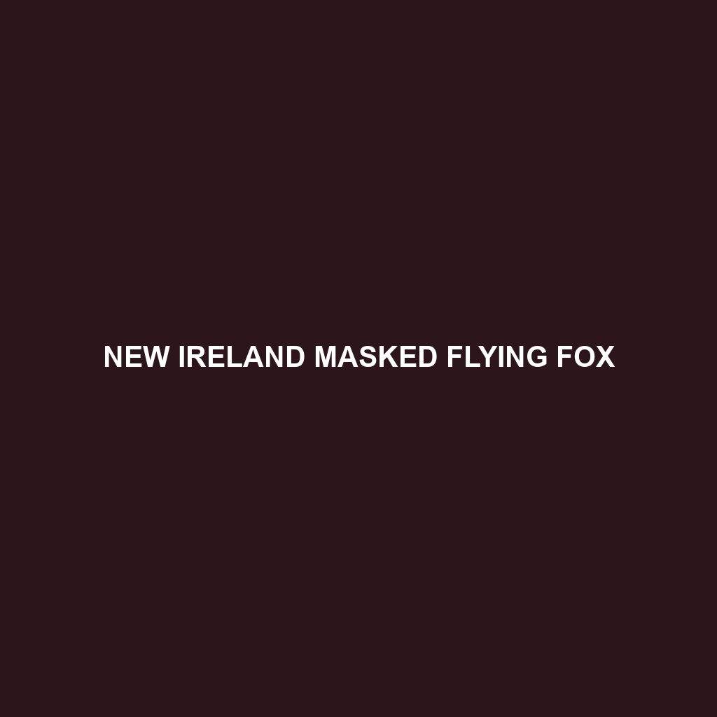 New Ireland Masked Flying Fox