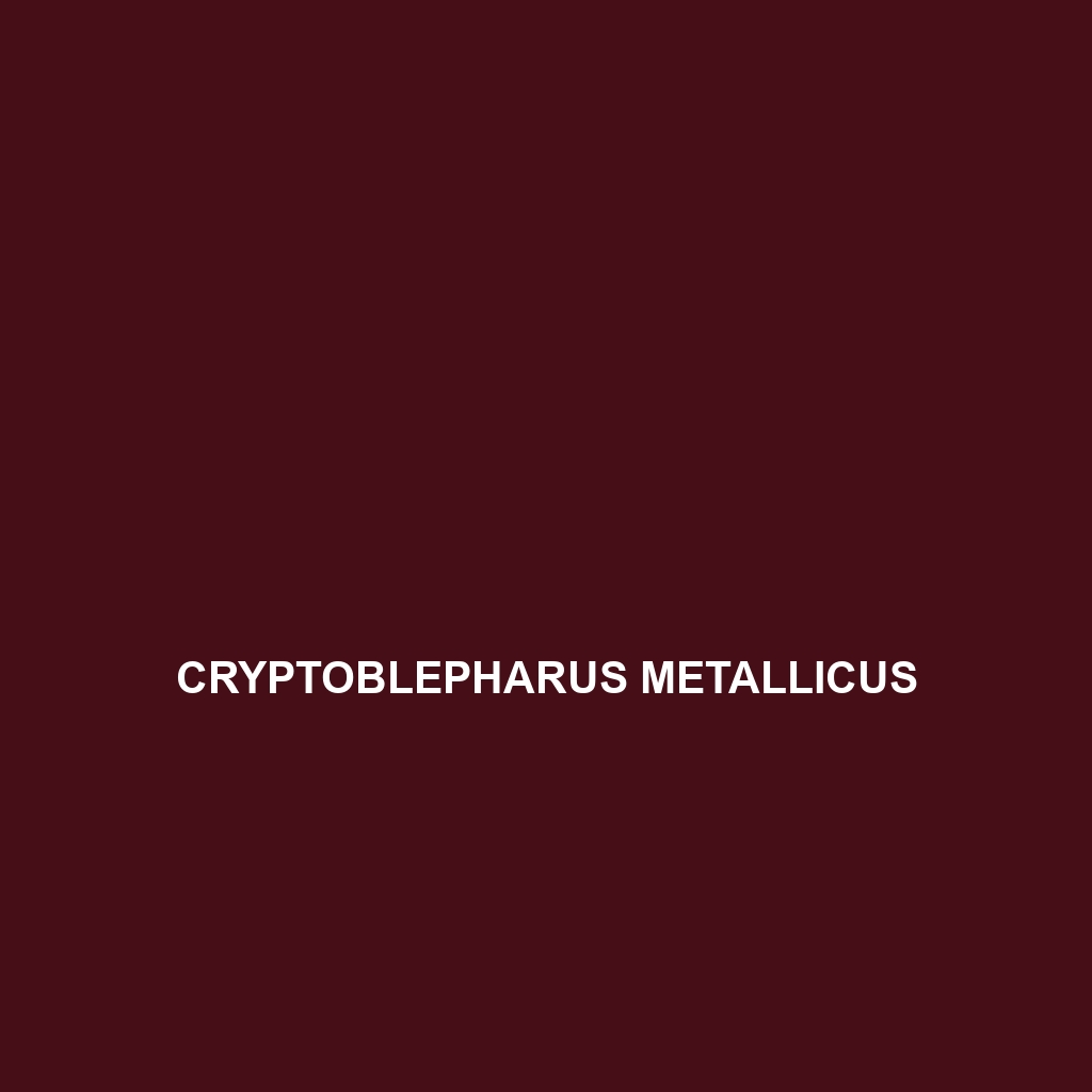 Cryptoblepharus metallicus