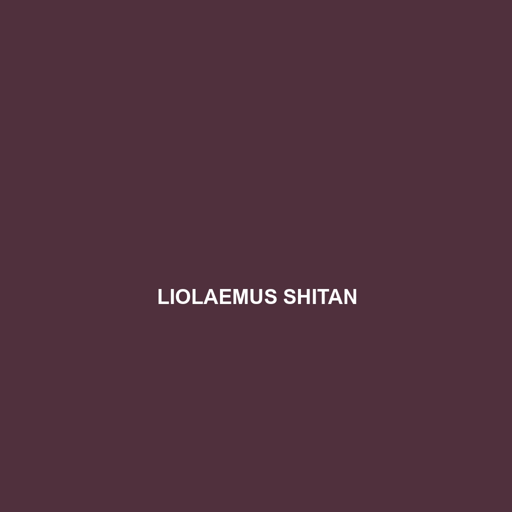 Liolaemus shehuen