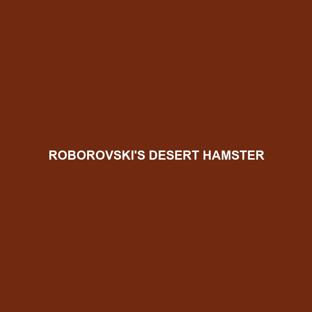 Roborovski's Desert Hamster