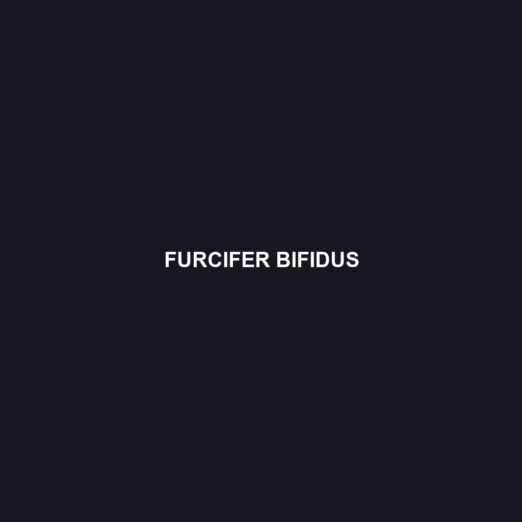 Furcifer bifidus