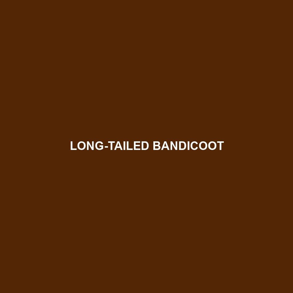 Long-tailed Bandicoot