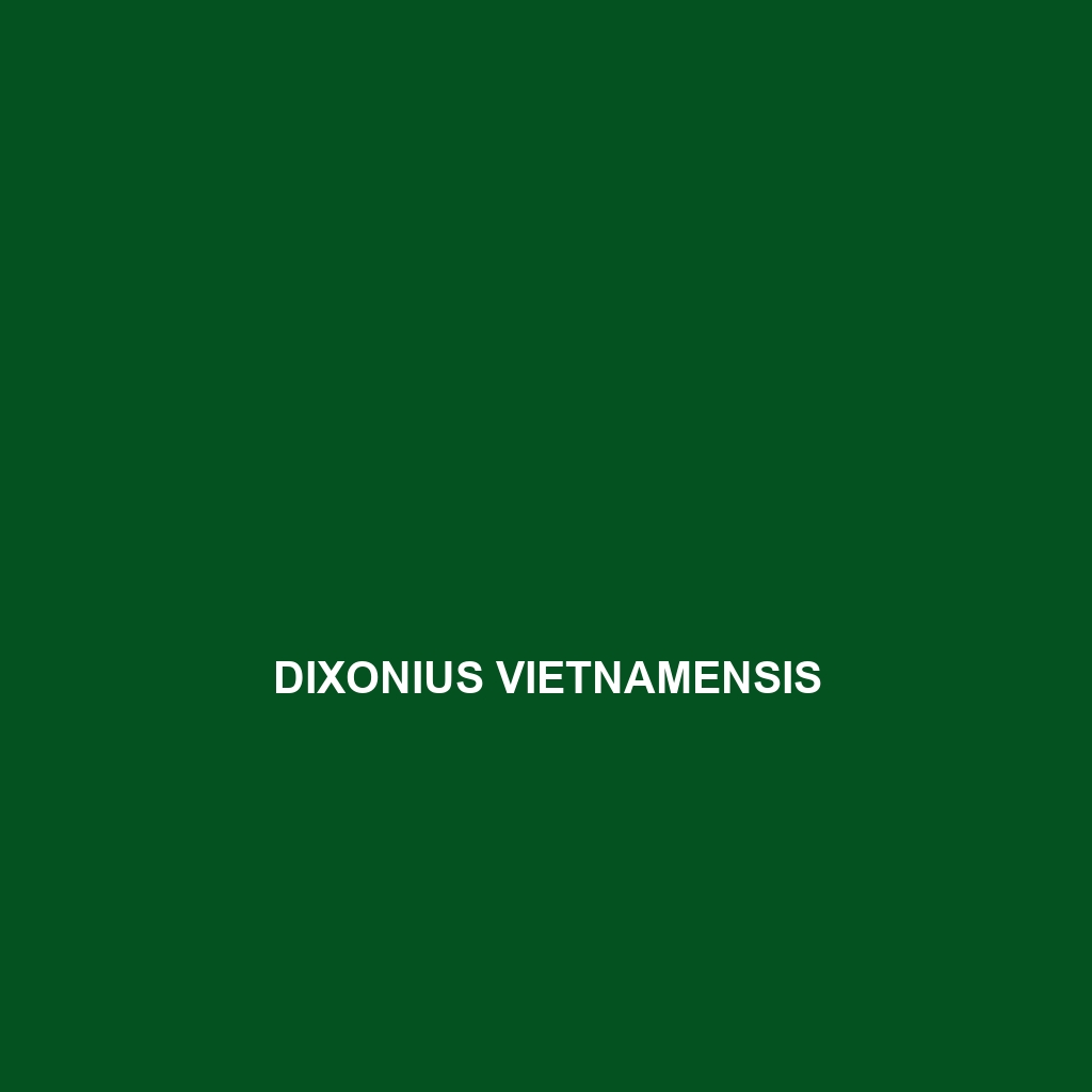 Dixonius taoi