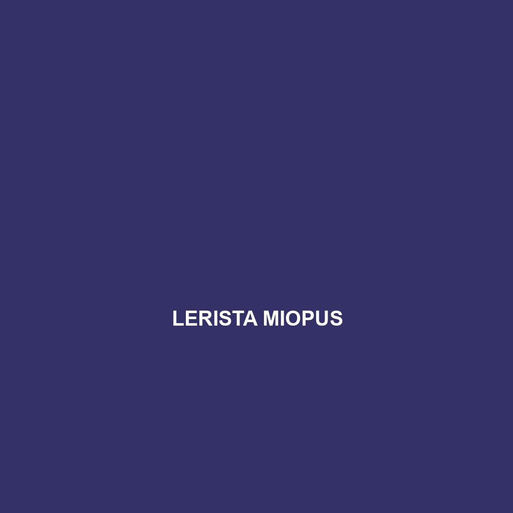 Lerista miopus