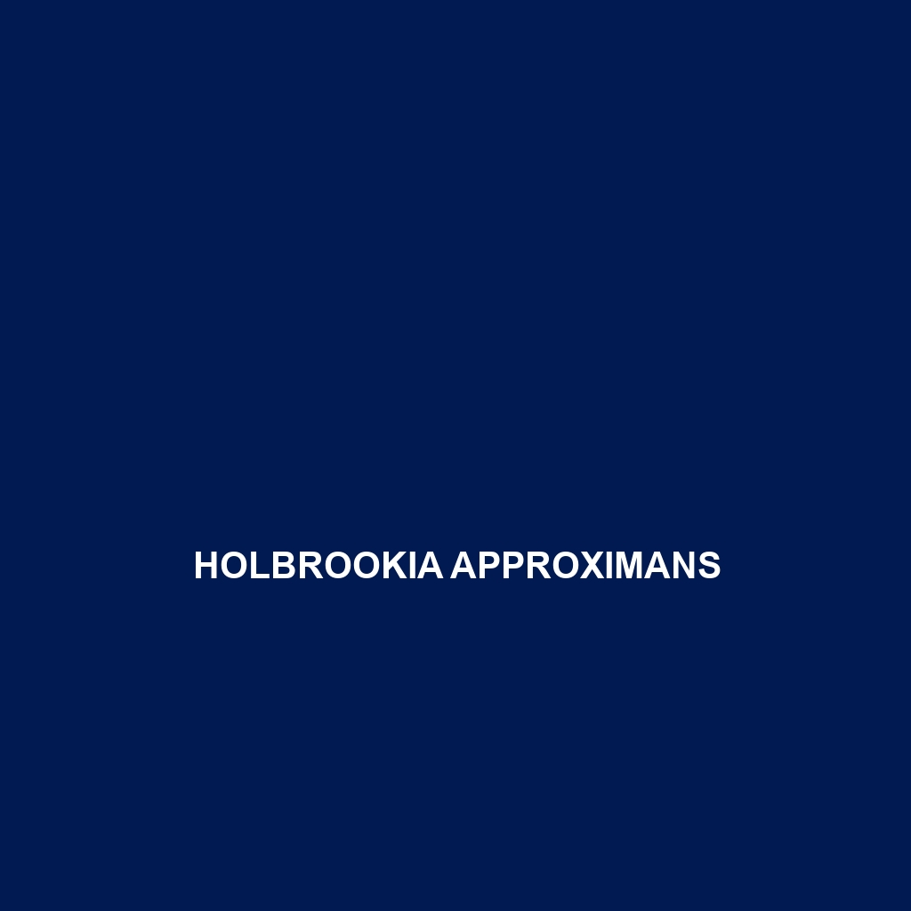 Holbrookia approximans