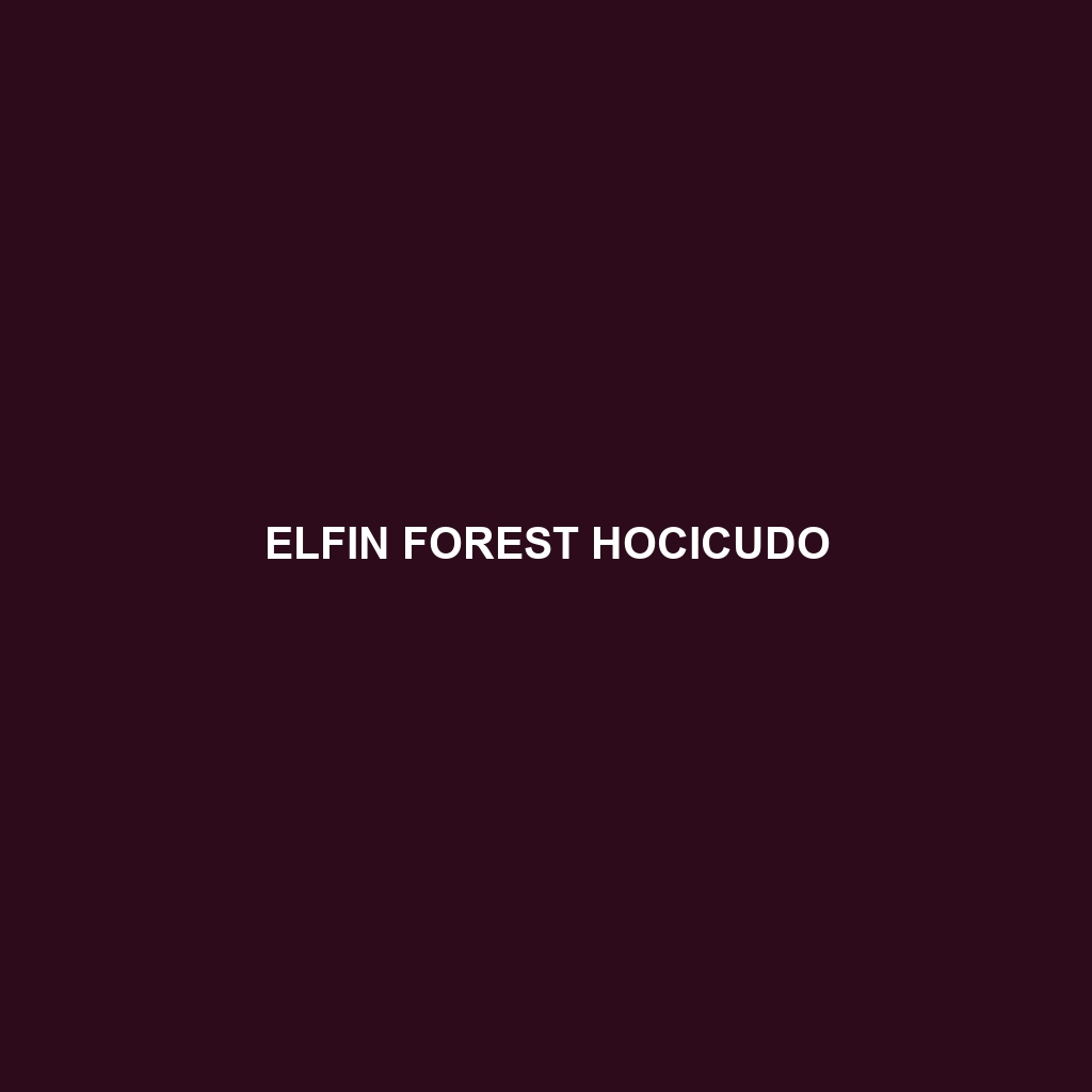 Elfin Forest Hocicudo