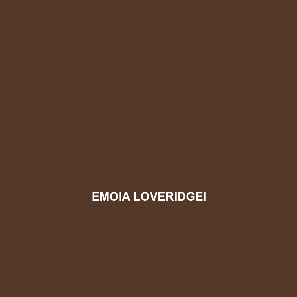 Emoia loveridgei