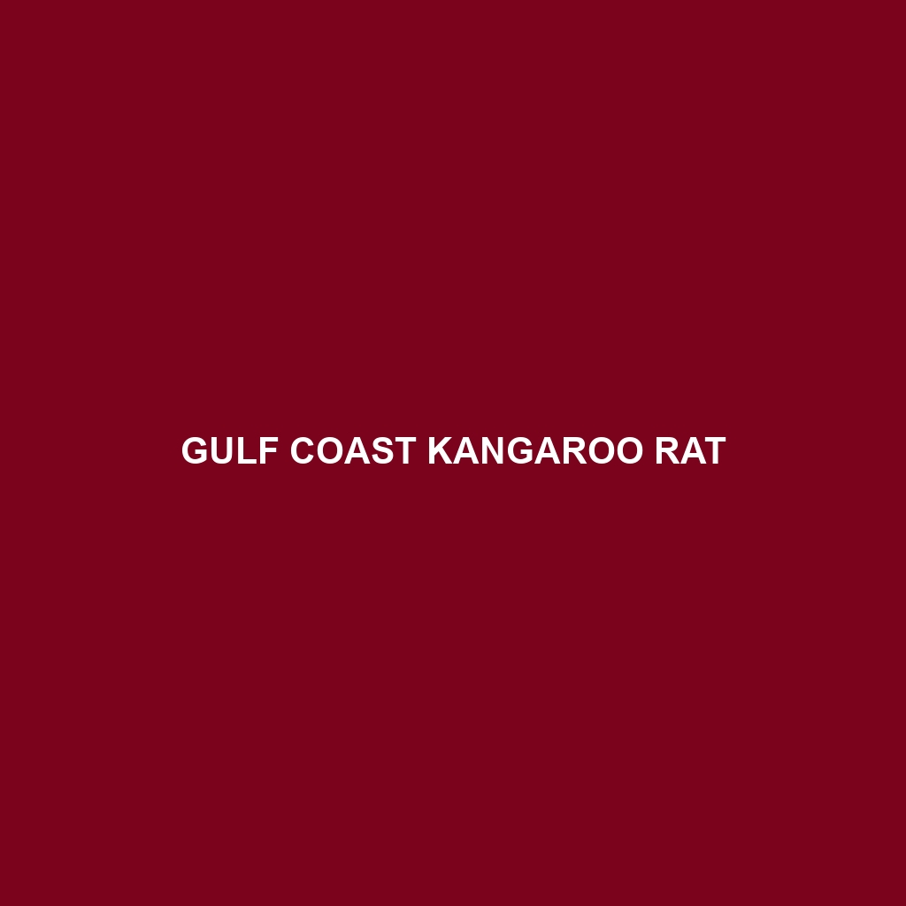 Gulf Coast Kangaroo Rat