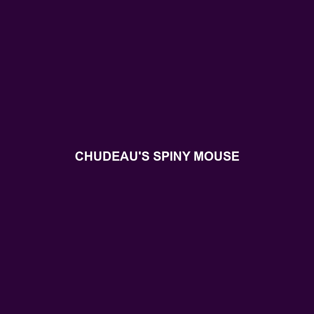 Chudeau's Spiny Mouse