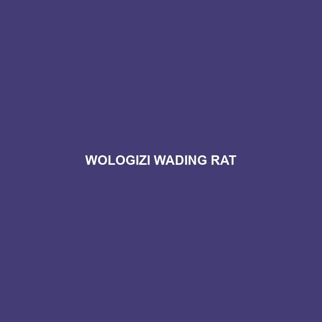 Wologizi Wading Rat