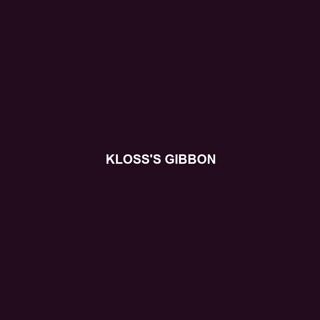 Kloss's Gibbon