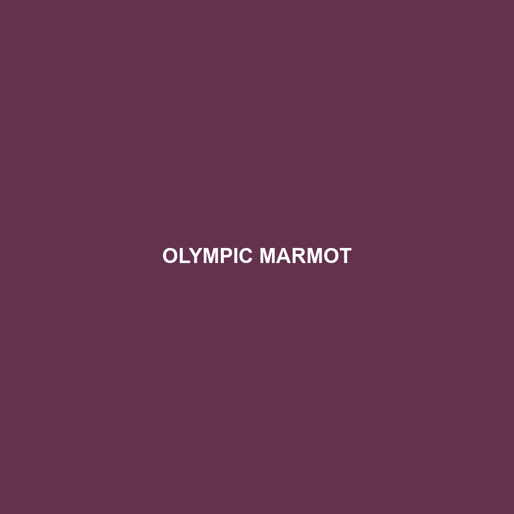 Olympic Marmot