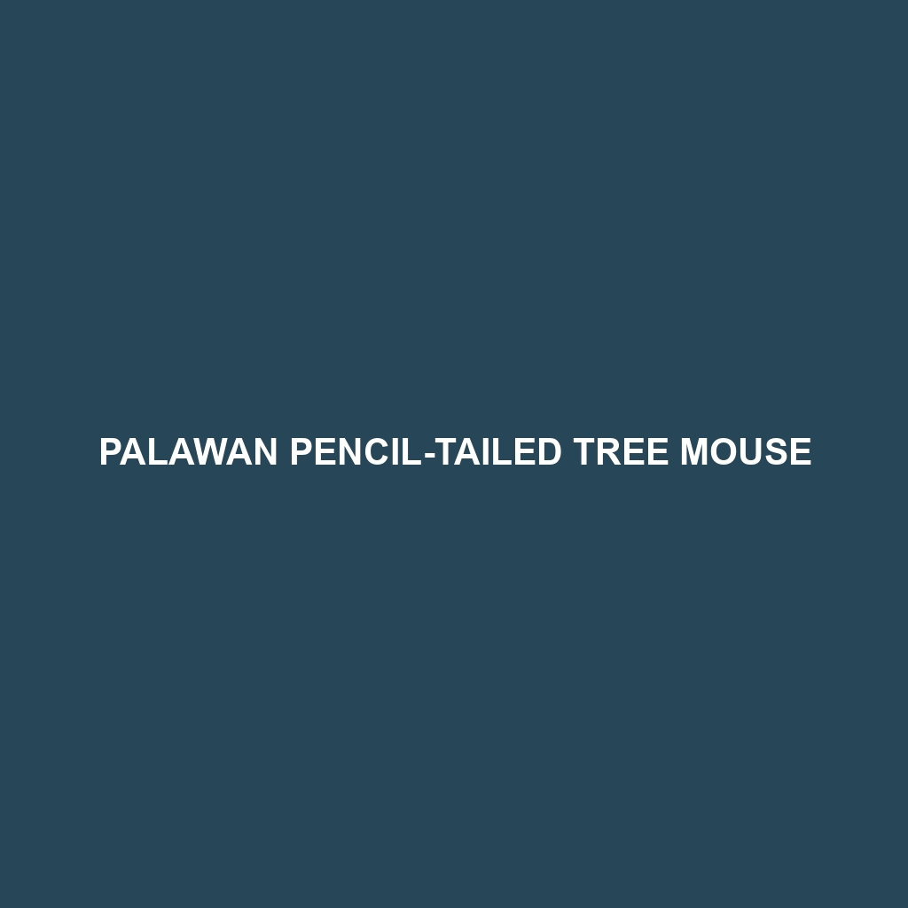 Palawan Pencil-tailed Tree Mouse