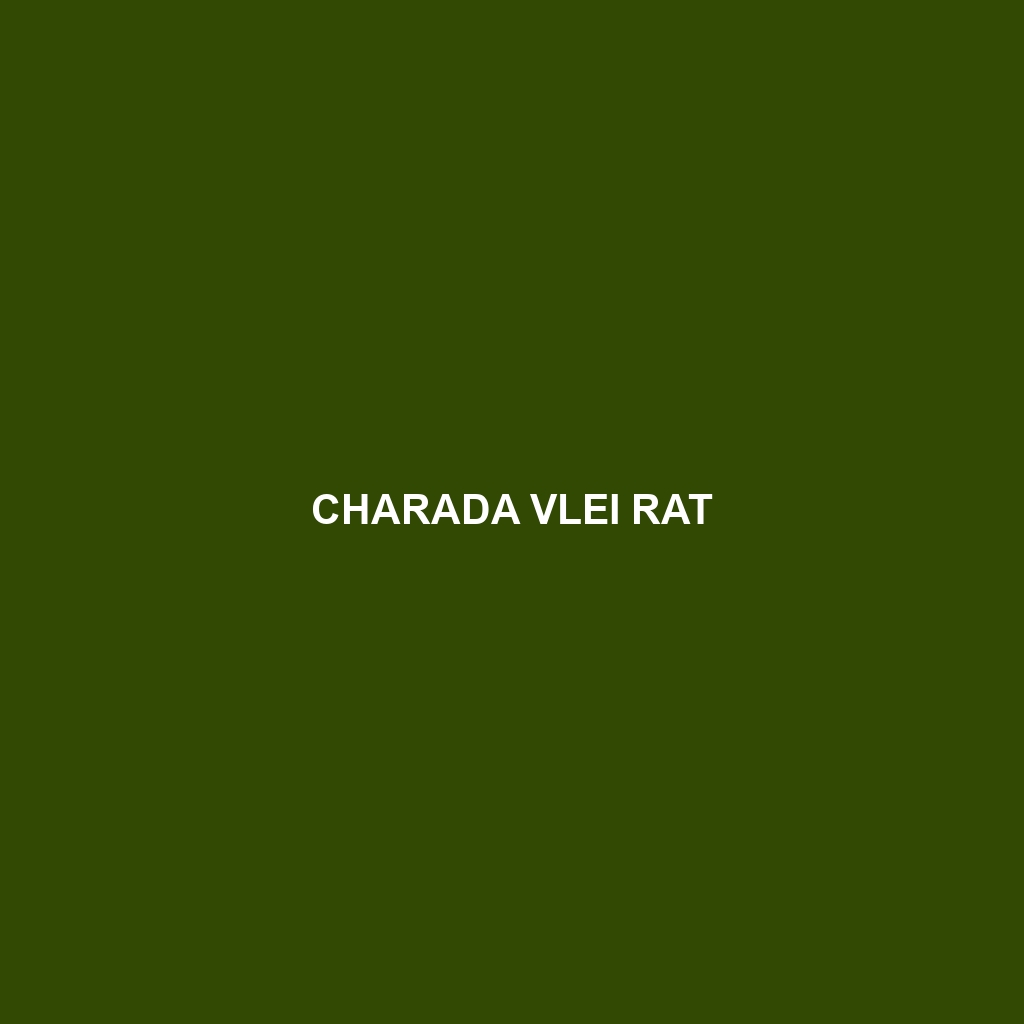 Charada Vlei Rat