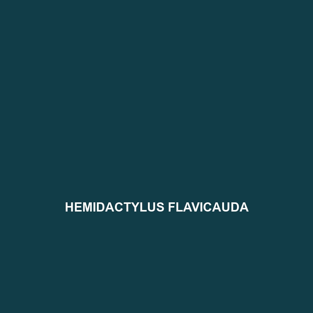 Hemidactylus flavicauda