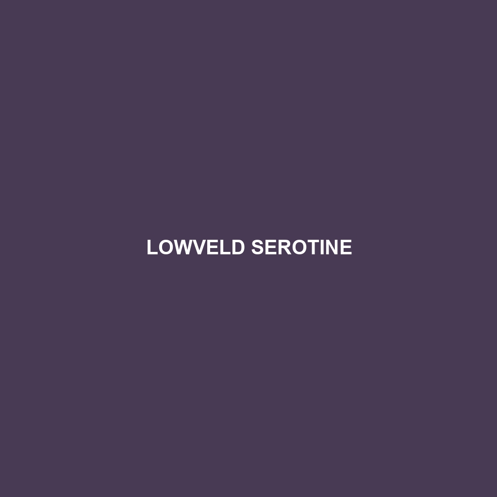 Lowveld Serotine