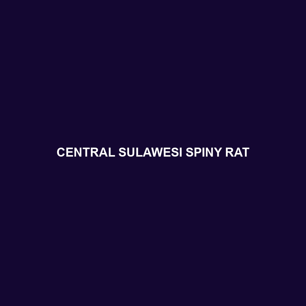 Central Sulawesi Spiny Rat