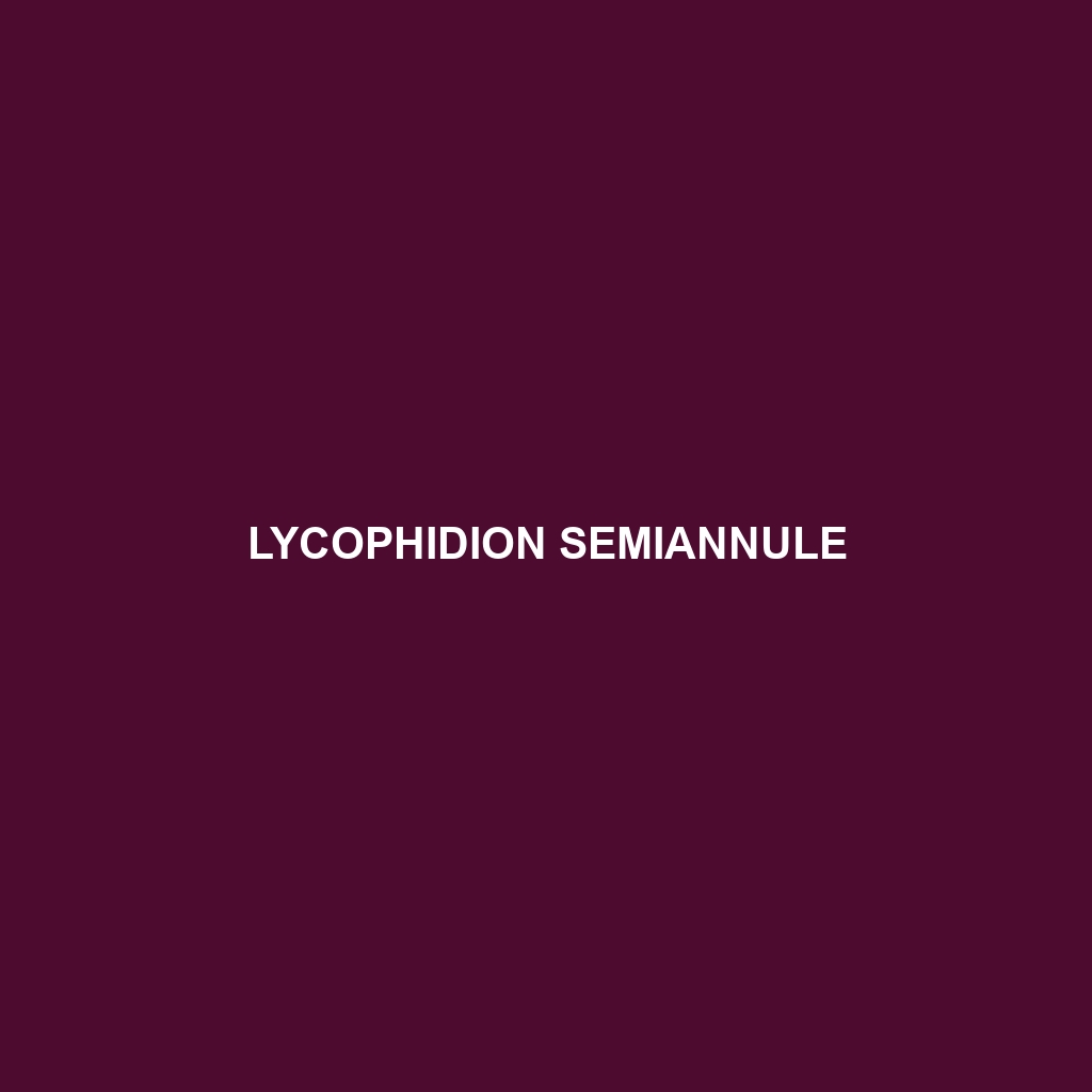 Lycophidion semiannule