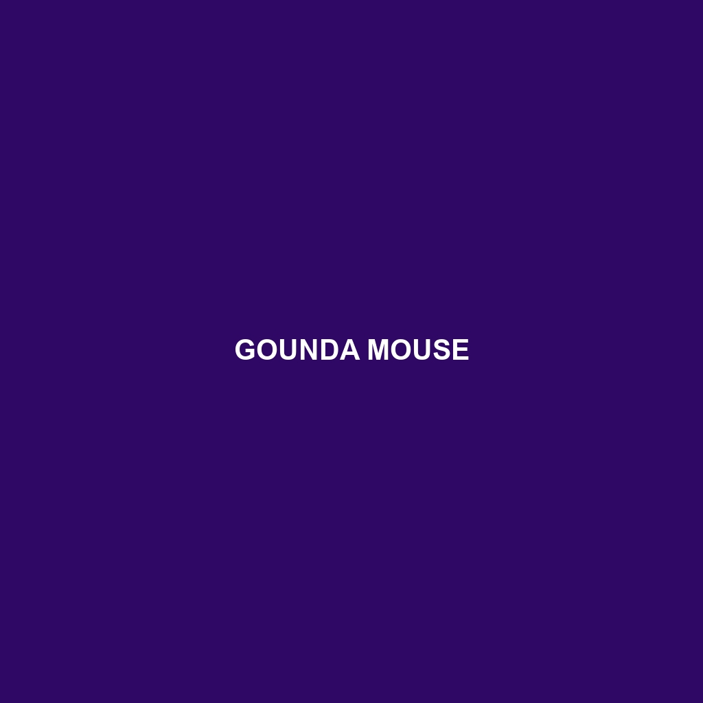 Gounda Mouse