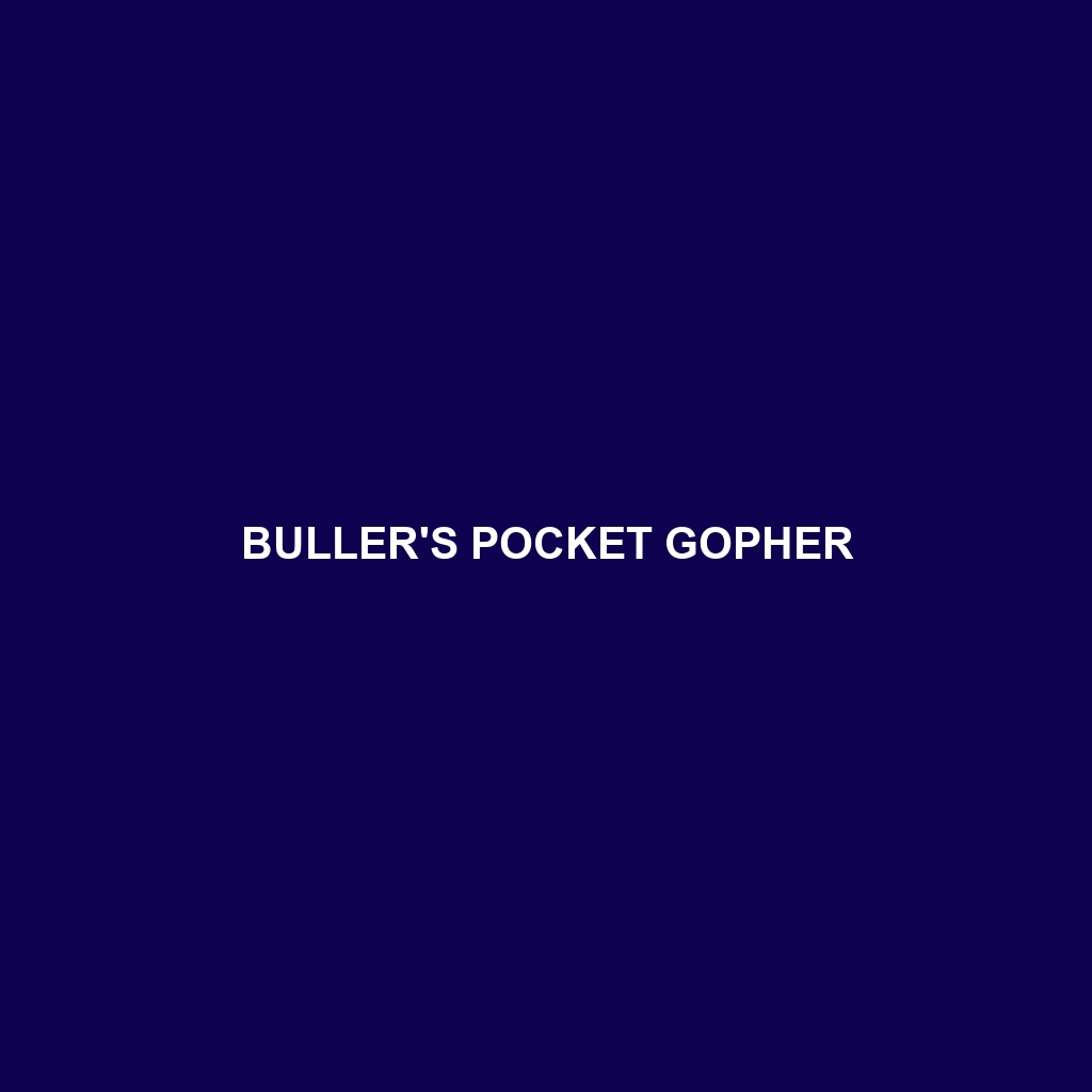 Buller's Pocket Gopher