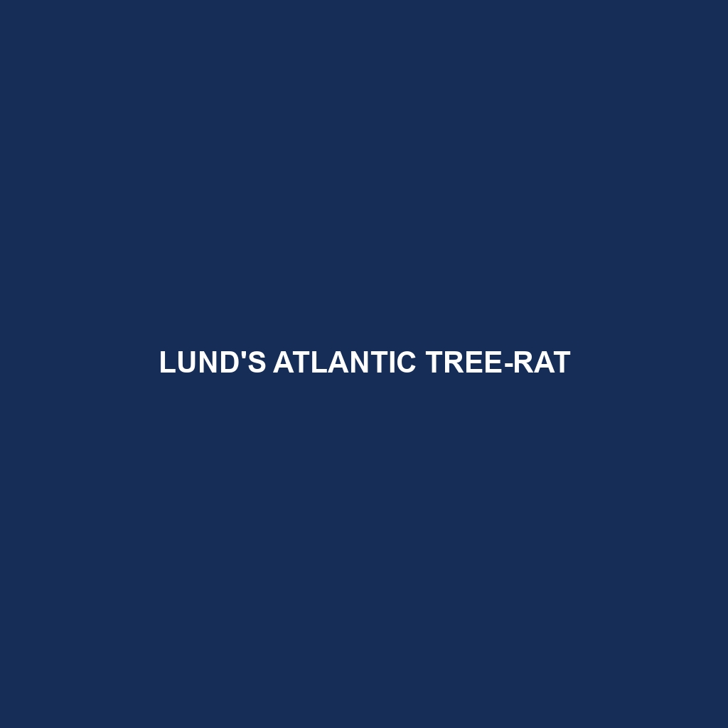 Lund's Atlantic Tree-rat