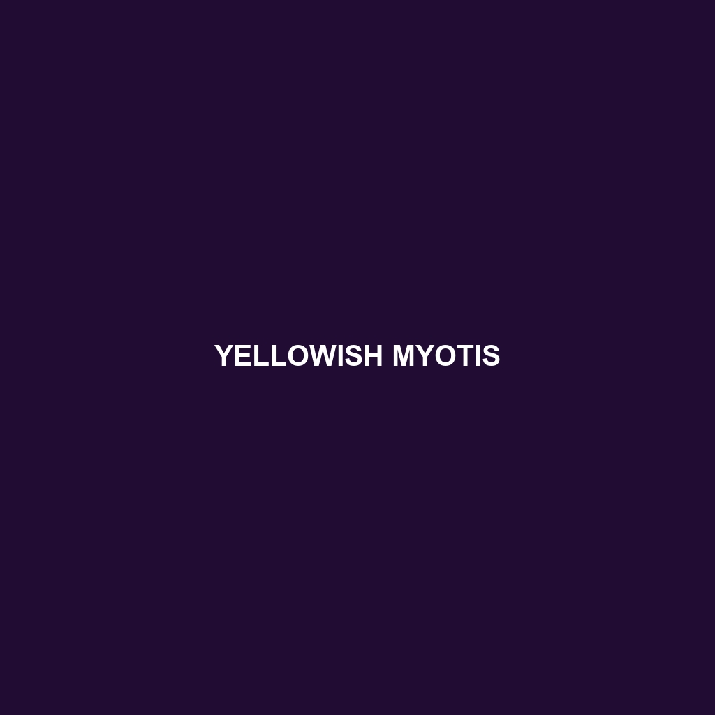 Yellowish Myotis