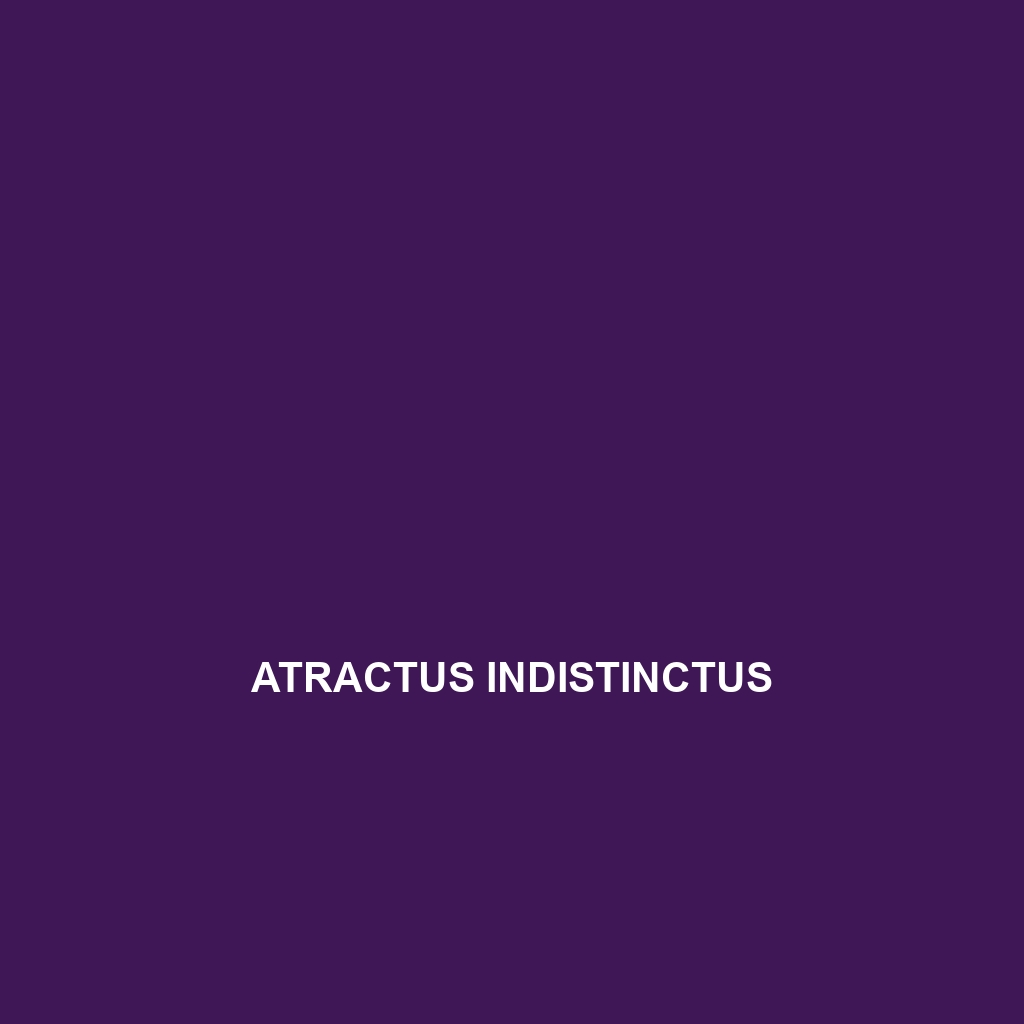 Atractus indistinctus