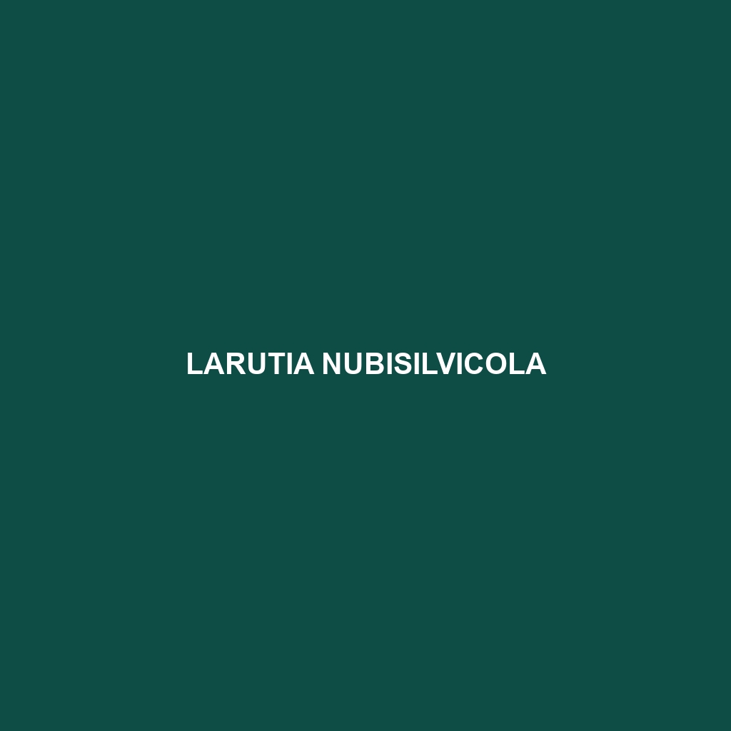 Larutia nubisilvicola