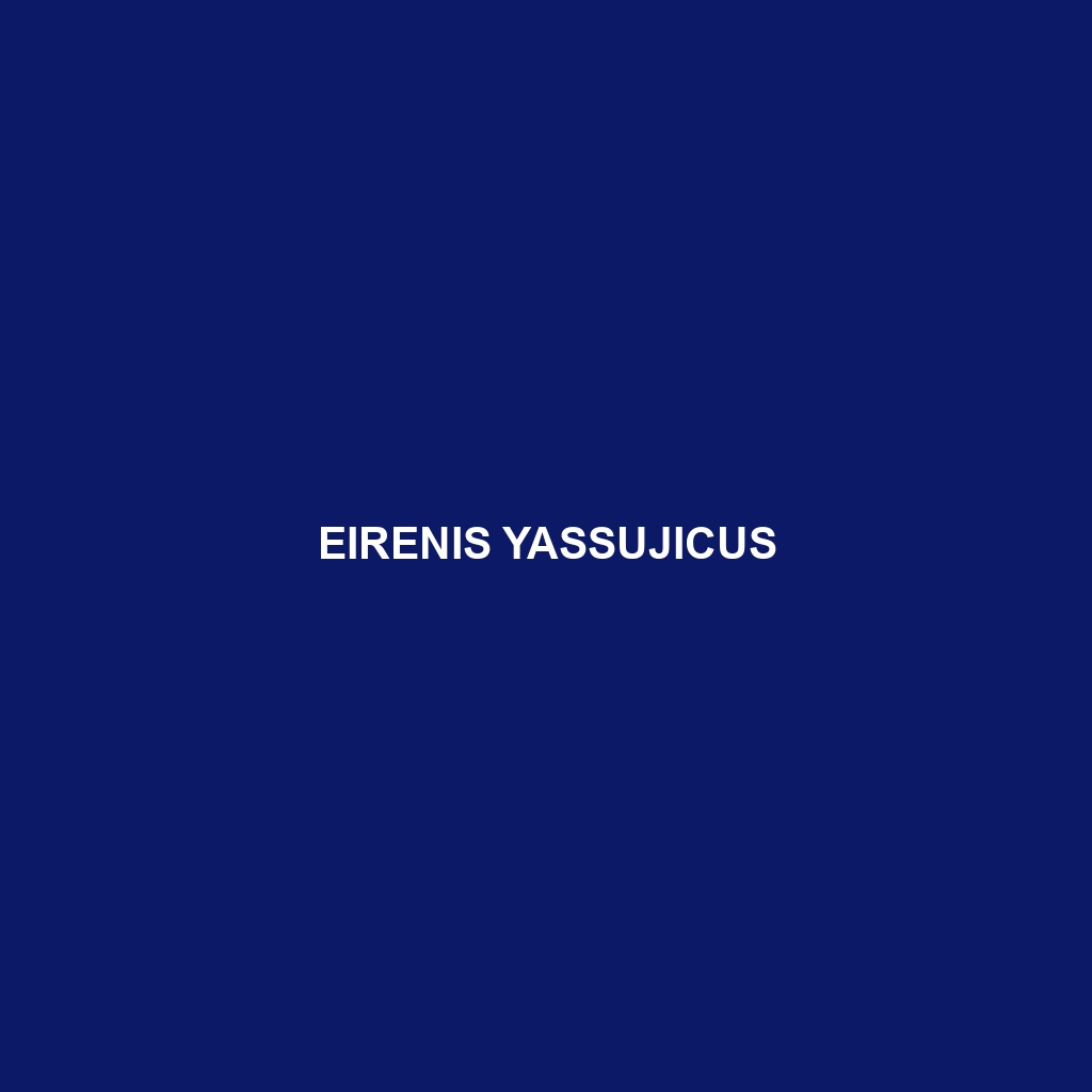 Eirenis yassujicus