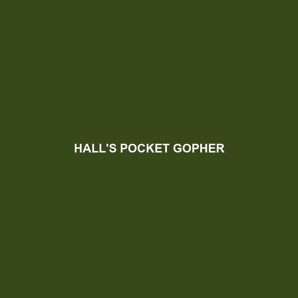 Hall's Pocket Gopher