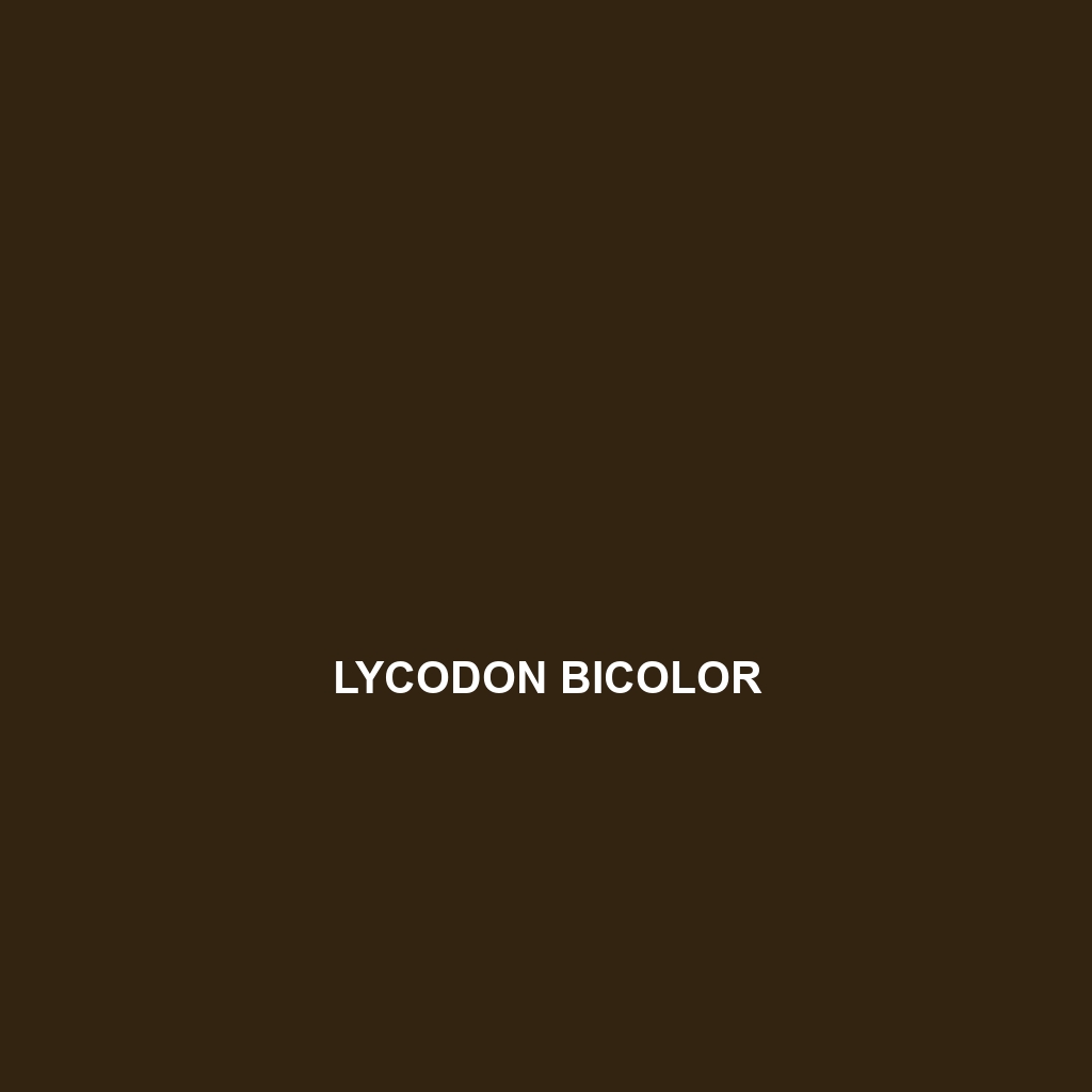 Lycodon bibonius