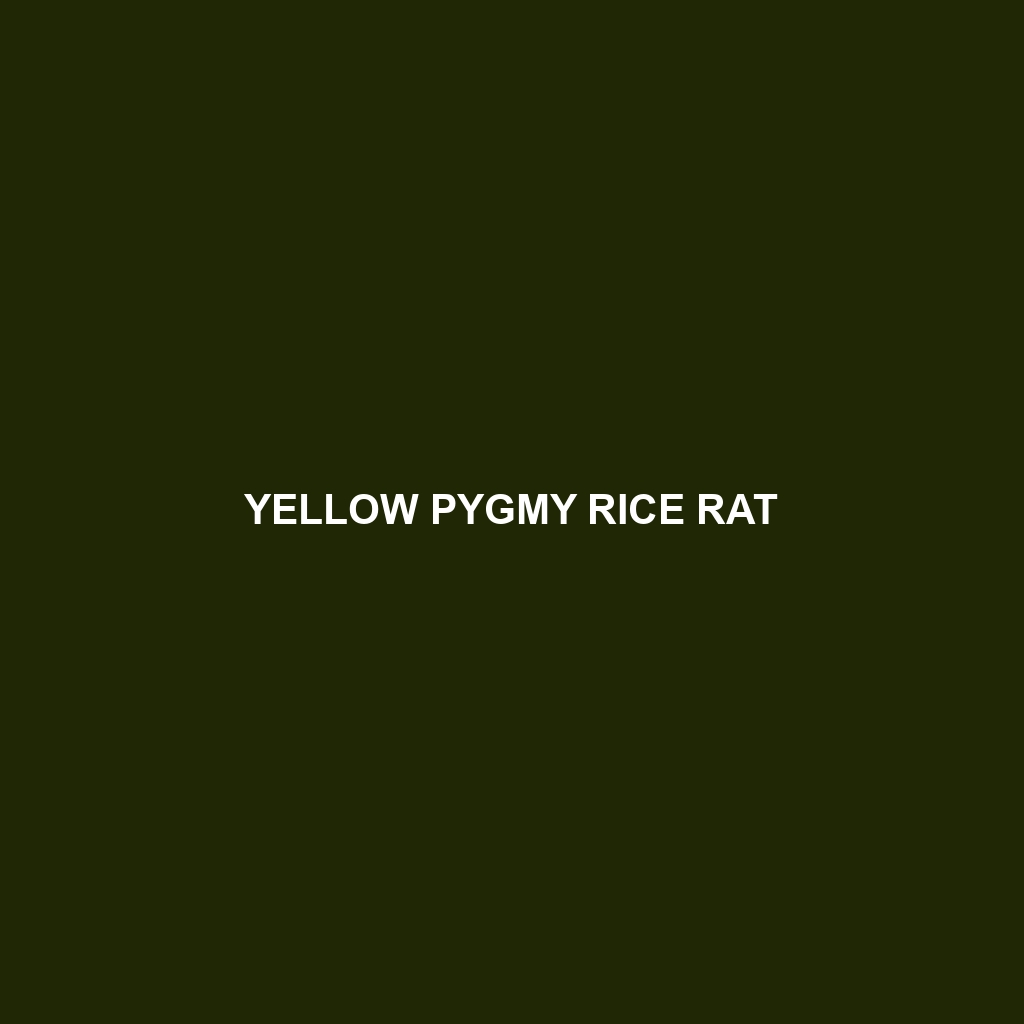 Yellow Pygmy Rice Rat