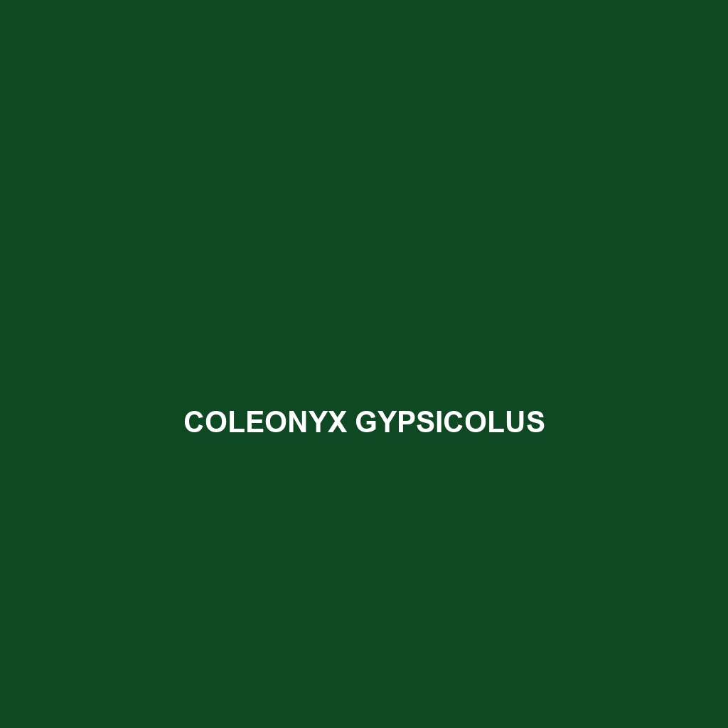 Coleonyx gypsicolus